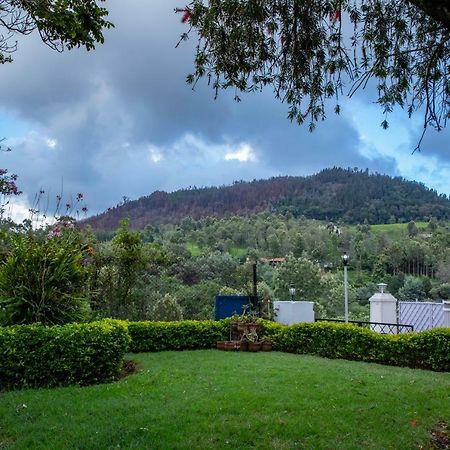 קונור Jjs Cottages מראה חיצוני תמונה