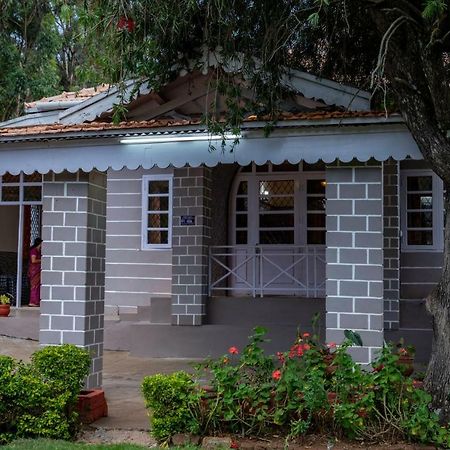 קונור Jjs Cottages מראה חיצוני תמונה